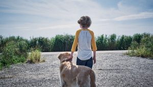 In the Tall Grass (2019) Review 11