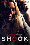 Shook (2021) Review 1
