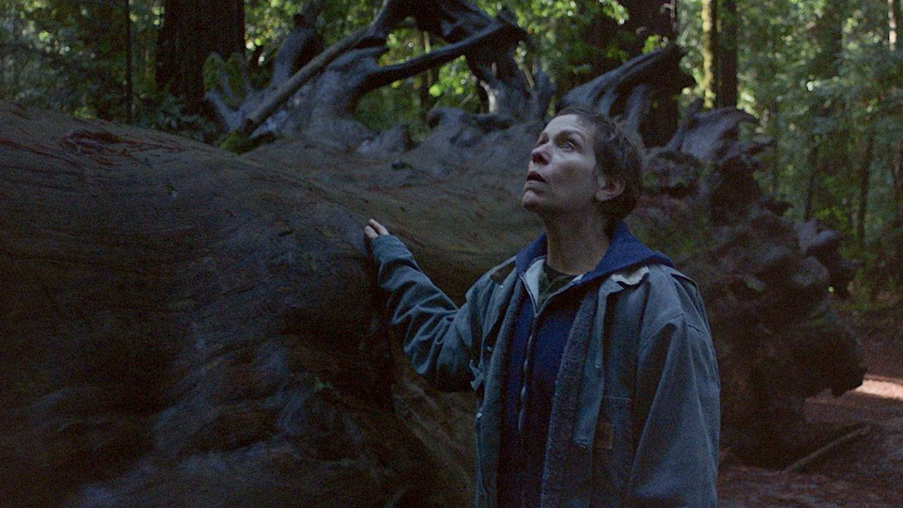 Nomadland (2020) Review 2