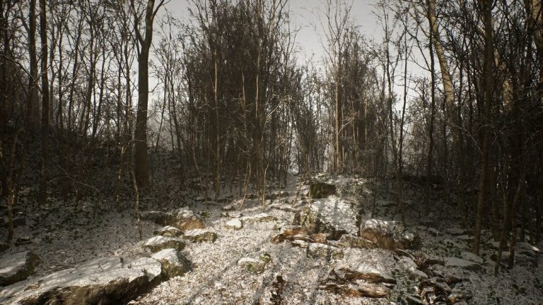 Abandoned Developer Delivers Exciting New Info In Now Removed Interview (Updated Aug 13)