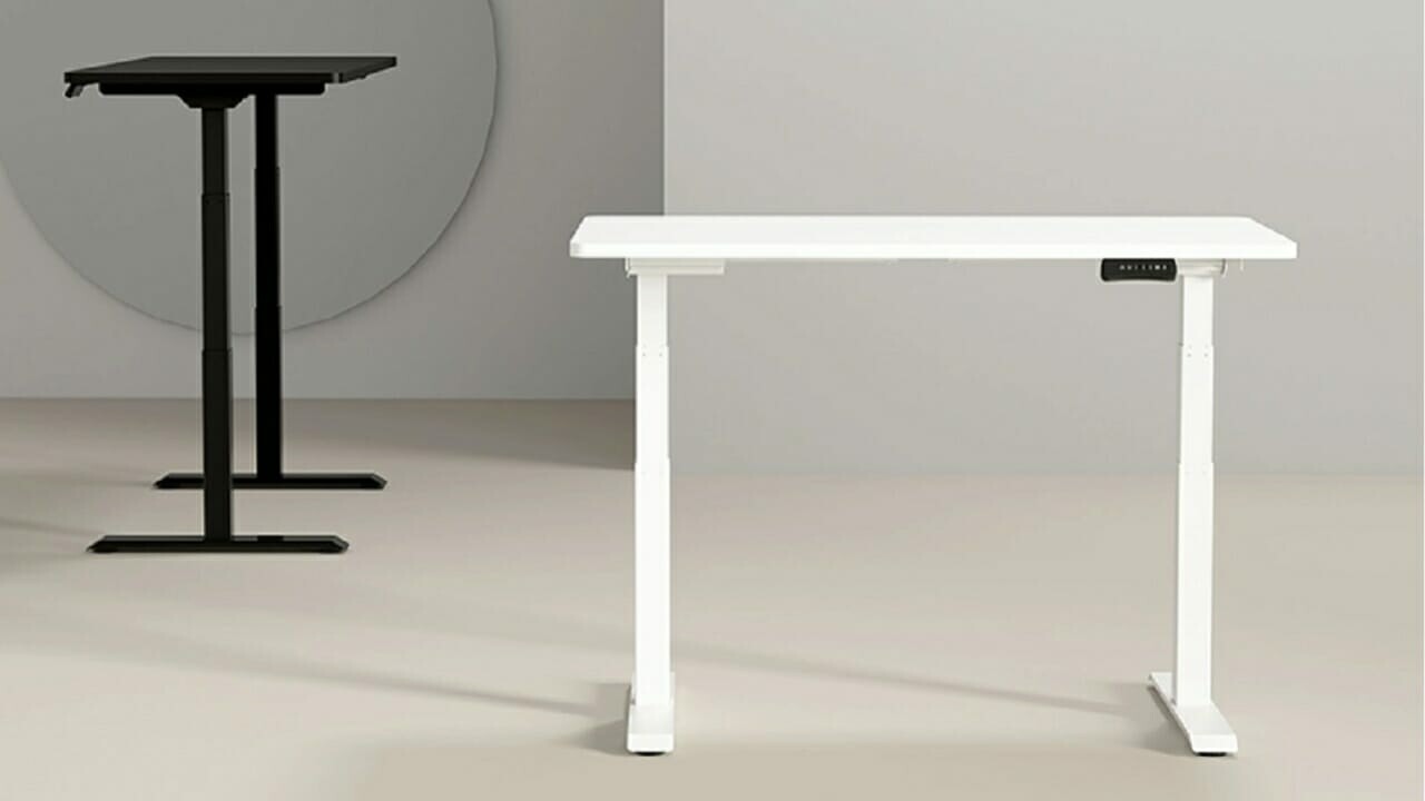 Flexispot Adjustable Standing Desk Pro Series Review 3