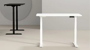 Flexispot Adjustable Standing Desk Pro Series Review 3
