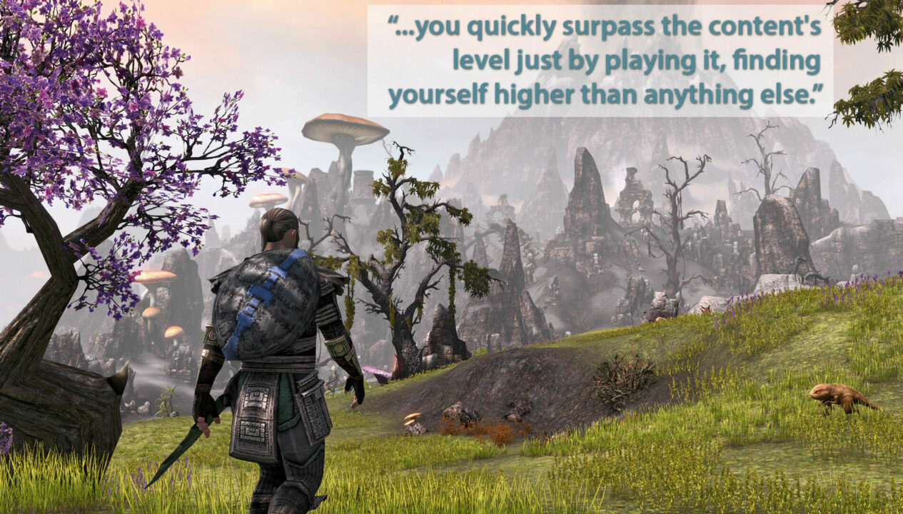 The Elder Scrolls Online (Pc) Review
