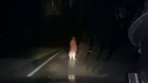 Dashcam - TIFF 2021