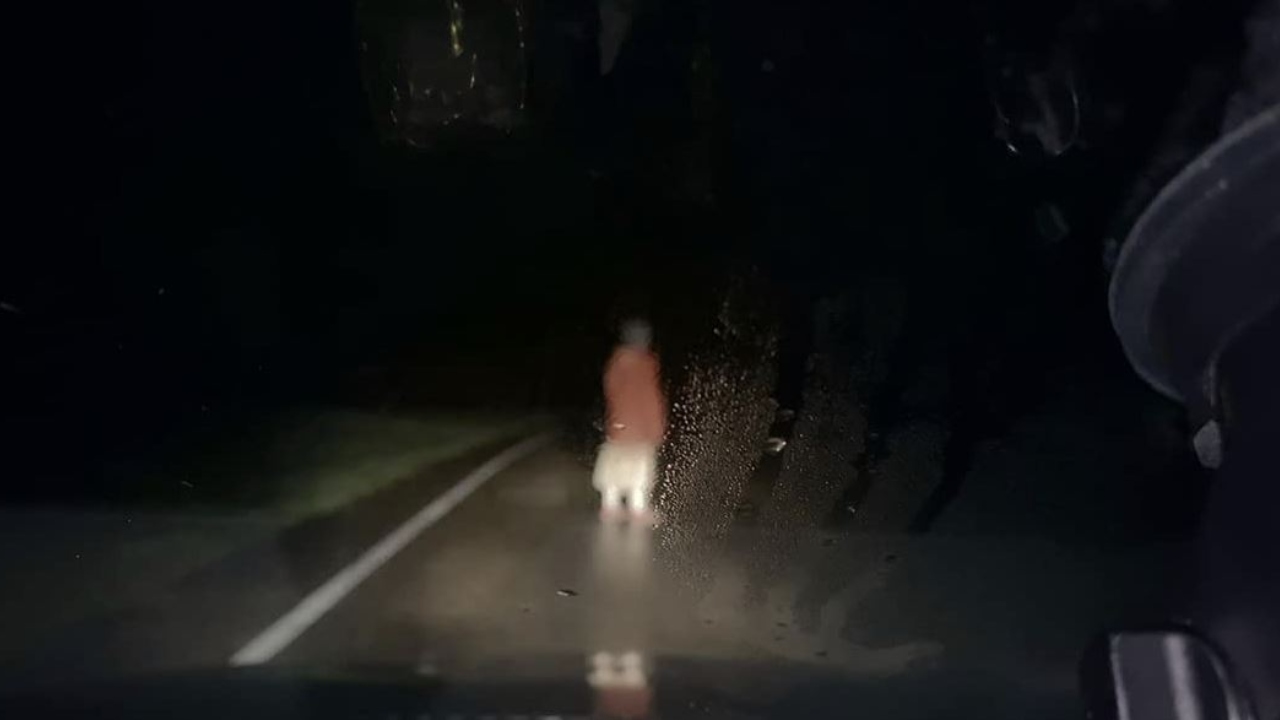 Dashcam - TIFF 2021