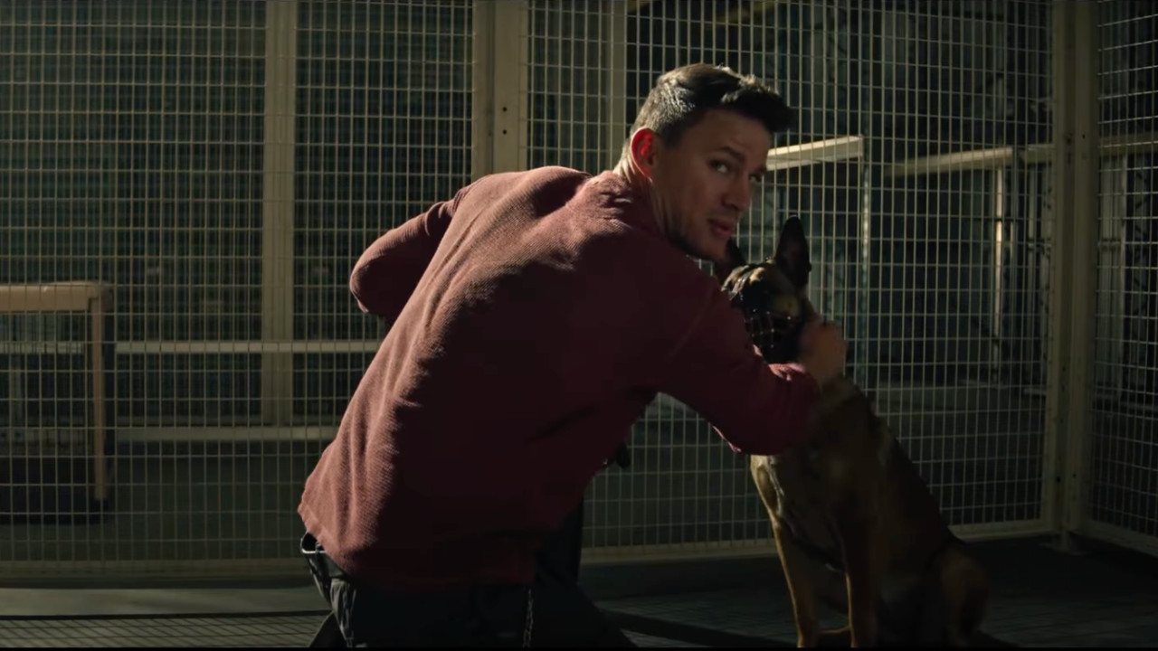 Channing Tatum's Dog Releases First Trailer