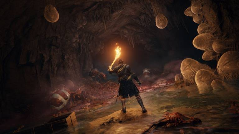 Big Elden Ring Leak Details Expansive Character Creation Screen