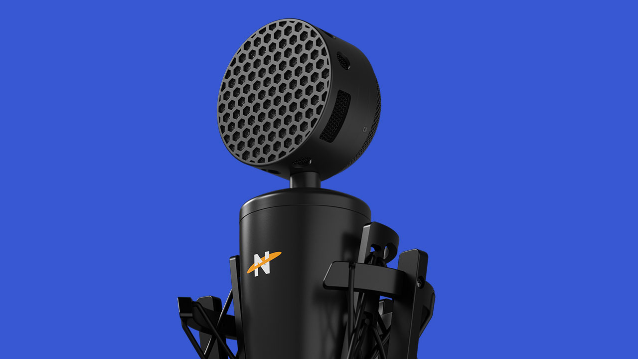 Neat King Bee Ii Microphone Review 2
