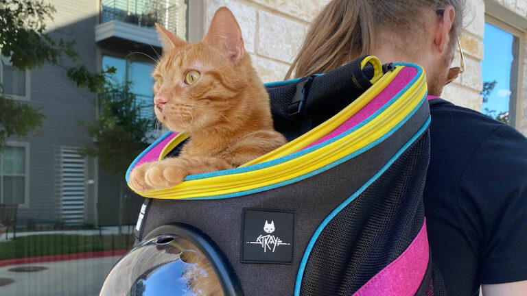 Stray Getting Limited Edition Cat Carrier