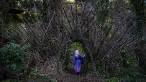 Moonhaven Series Review 5