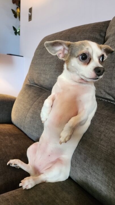 Samsung Galaxy Z Fold4 Smartphone Review