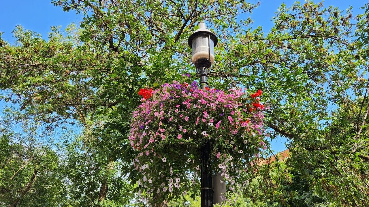 Samsung Galaxy Z Fold4 Smartphone Review