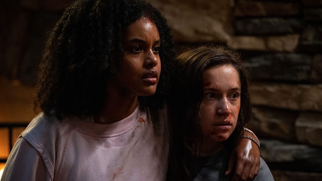 The Best of TIFF 2022 From the Festival and CGM