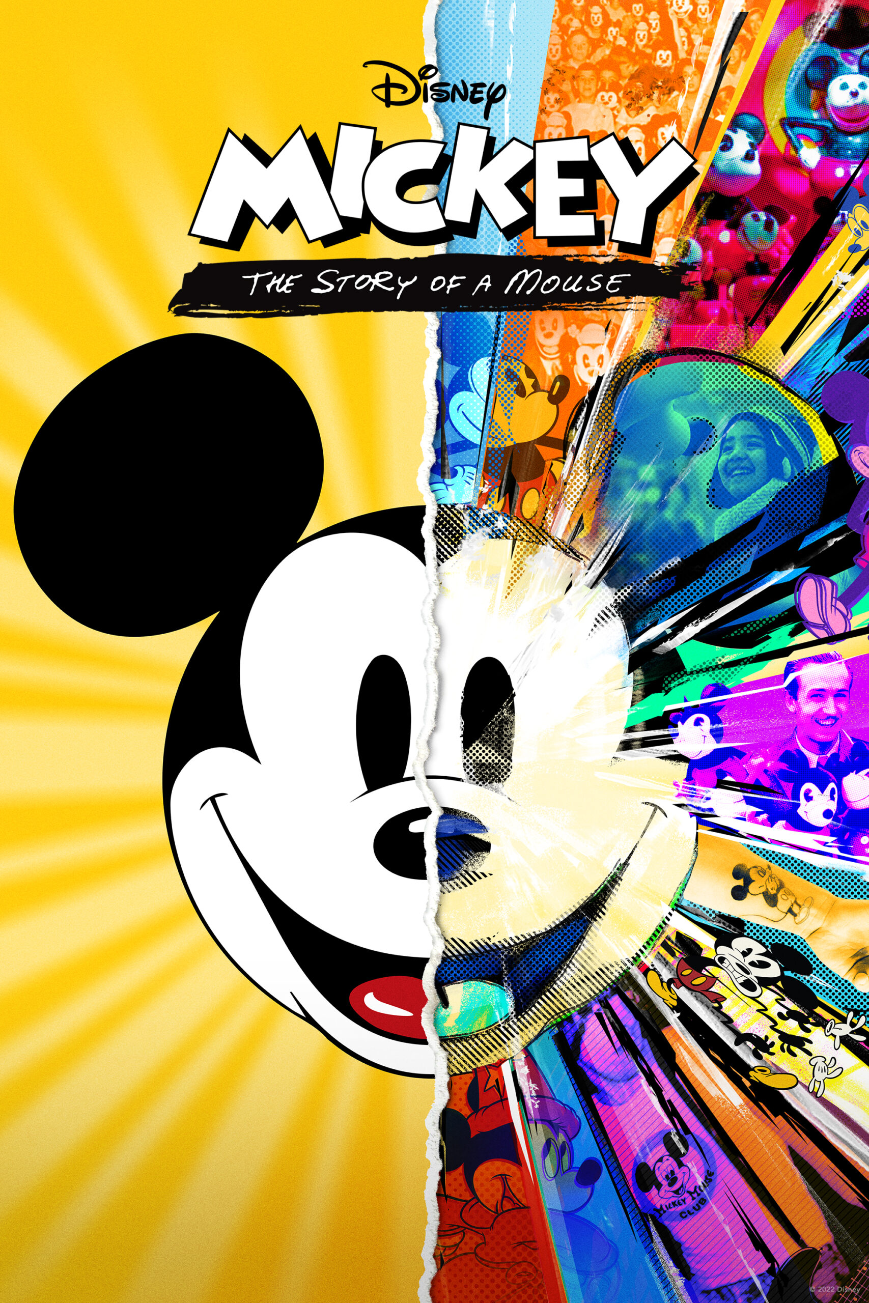mickey the story of a mouse review 607773