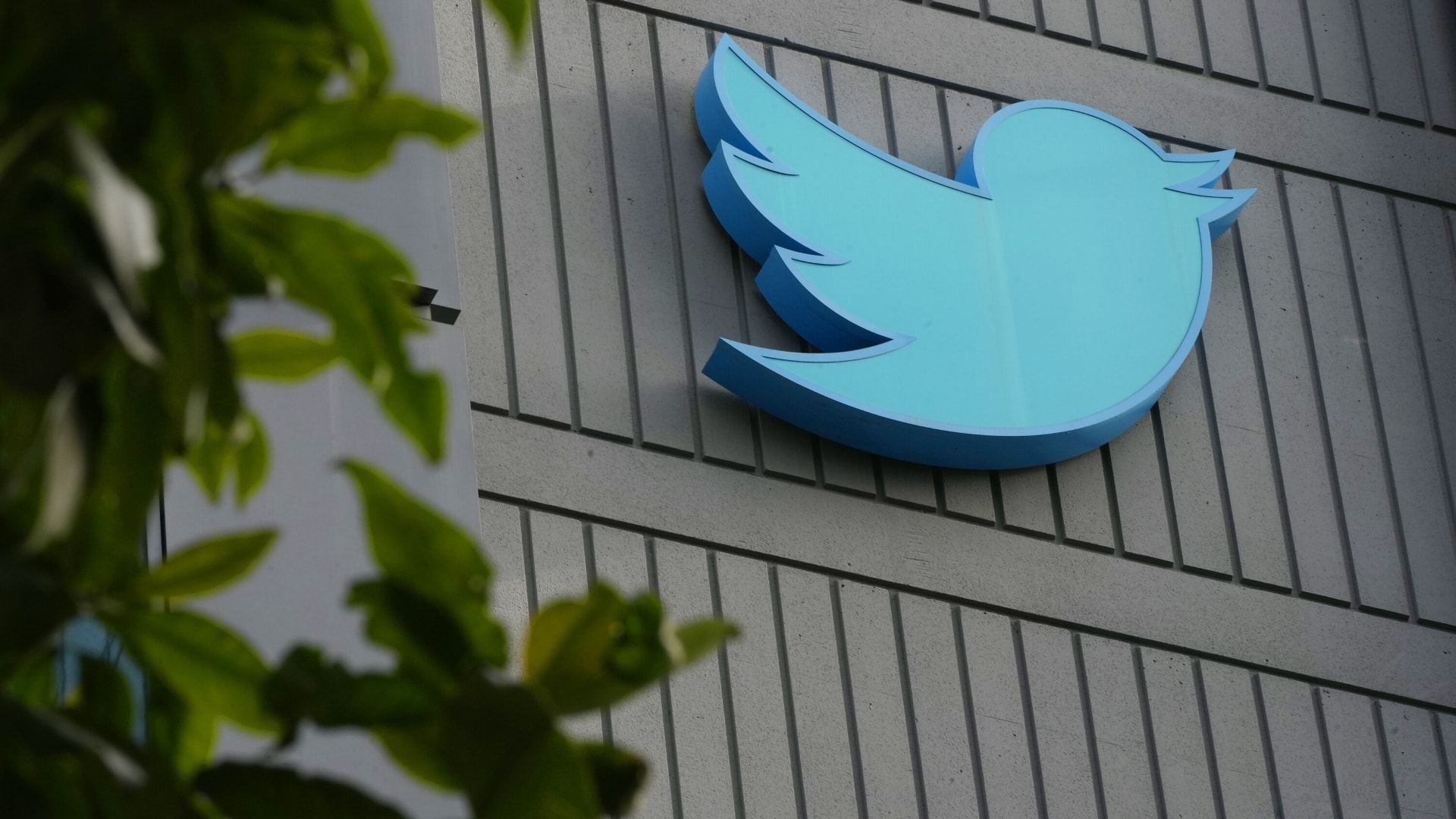 Latest Twitter Poll Says Elon Musk Should Step Down As Head 1
