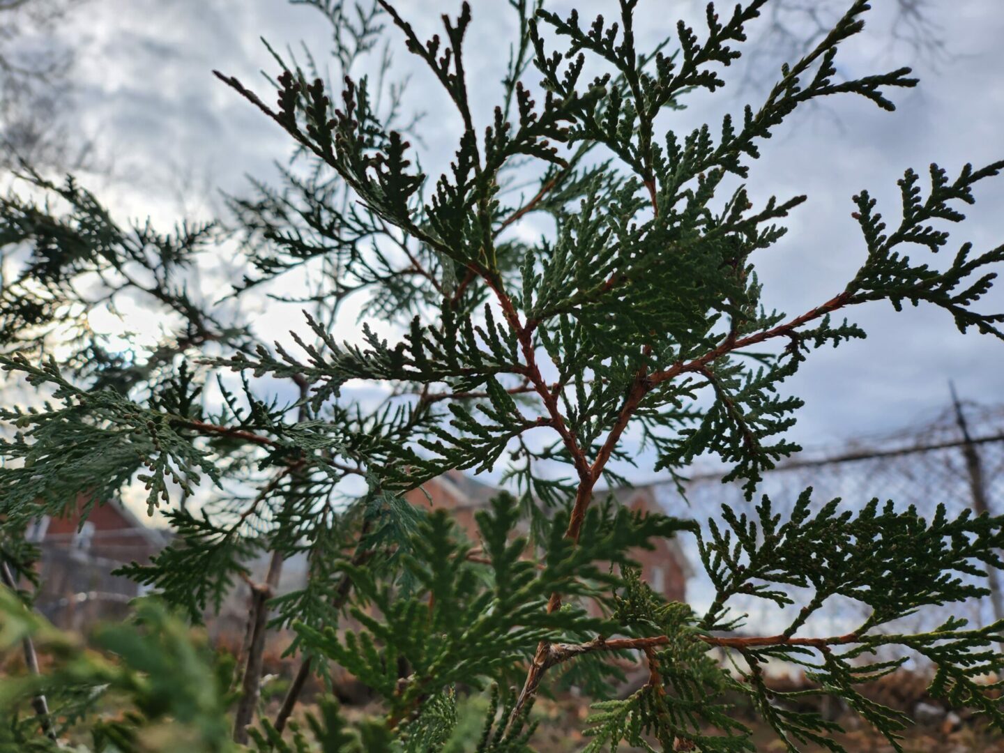 Samsung Galaxy Z Flip 4 Review 23022702 7