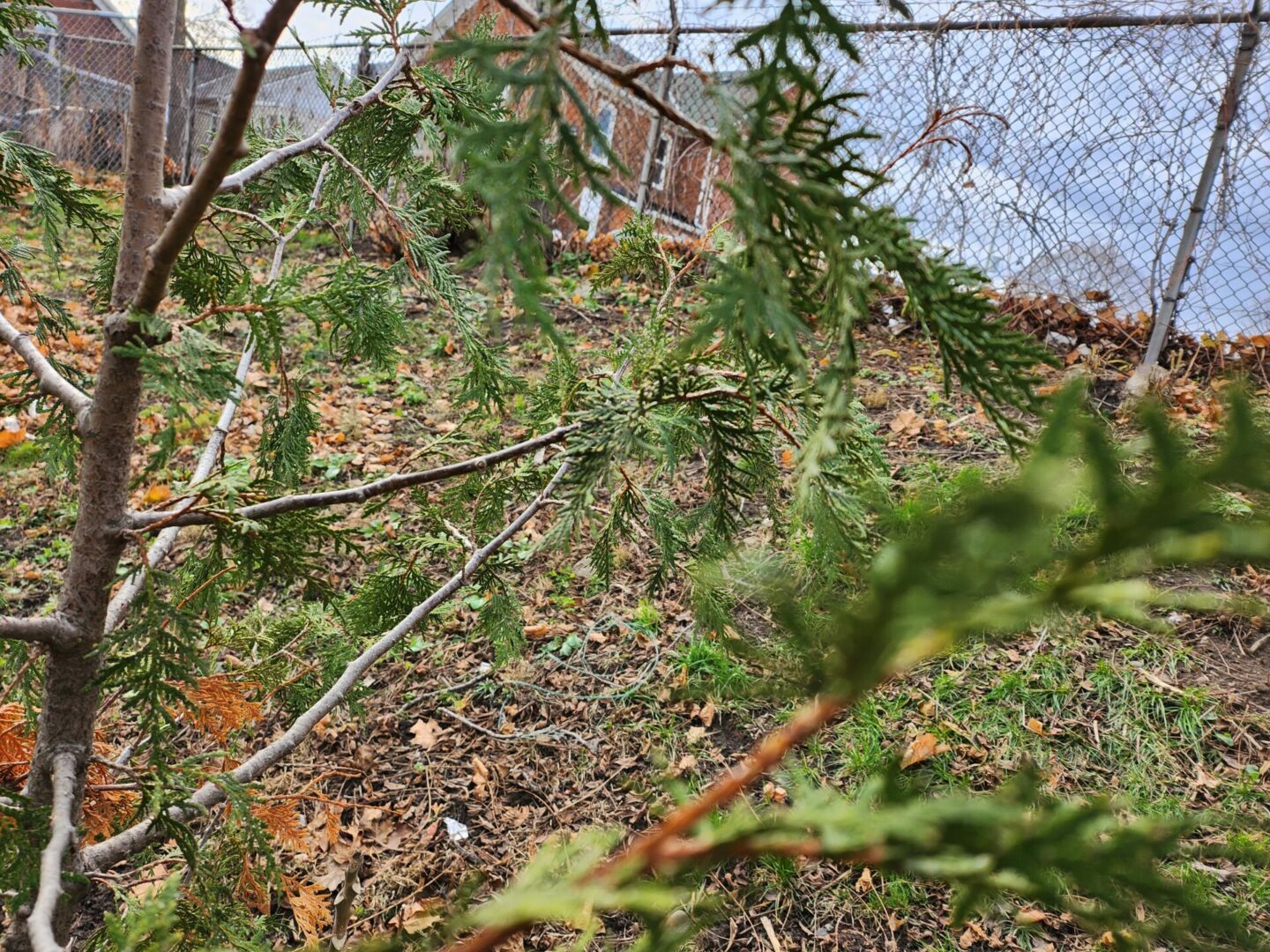 Samsung Galaxy Z Flip 4 Review 23022702 8