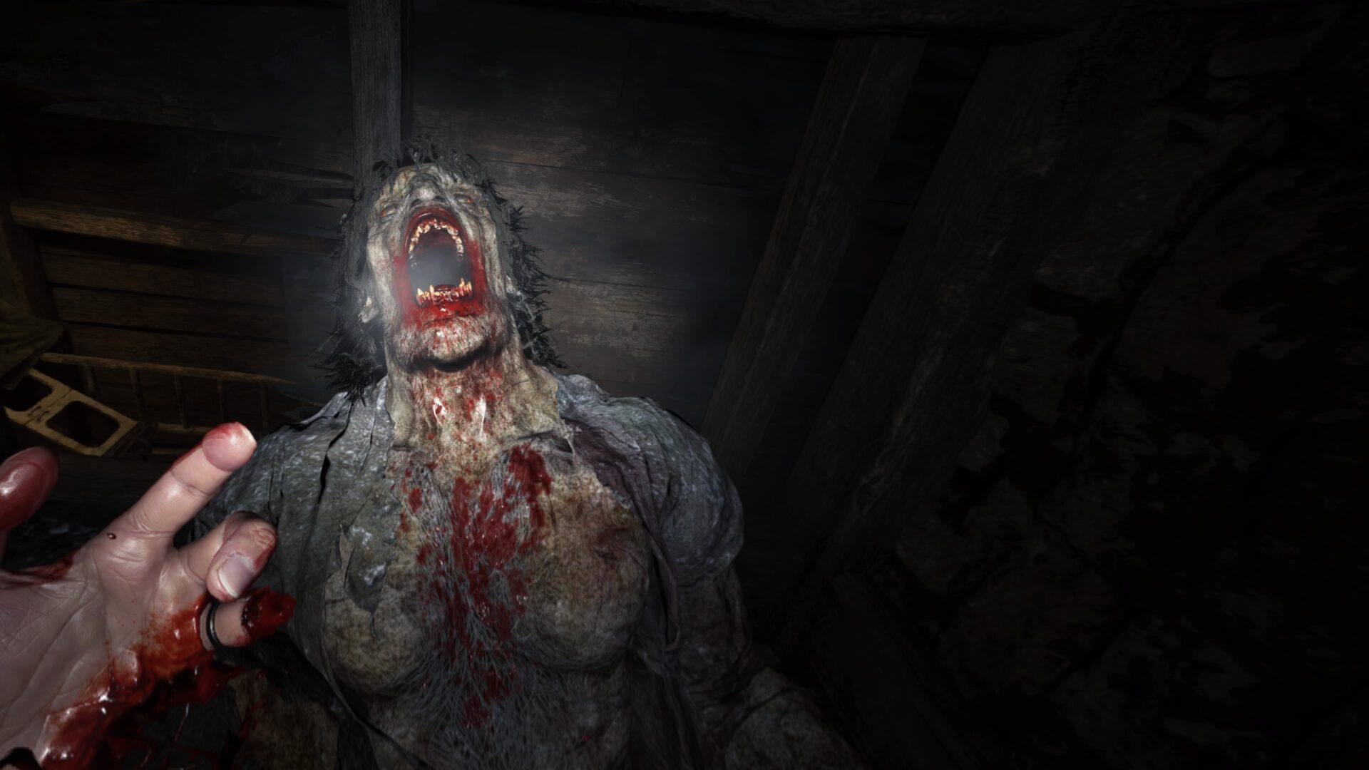 Resident Evil Village 20230222134624