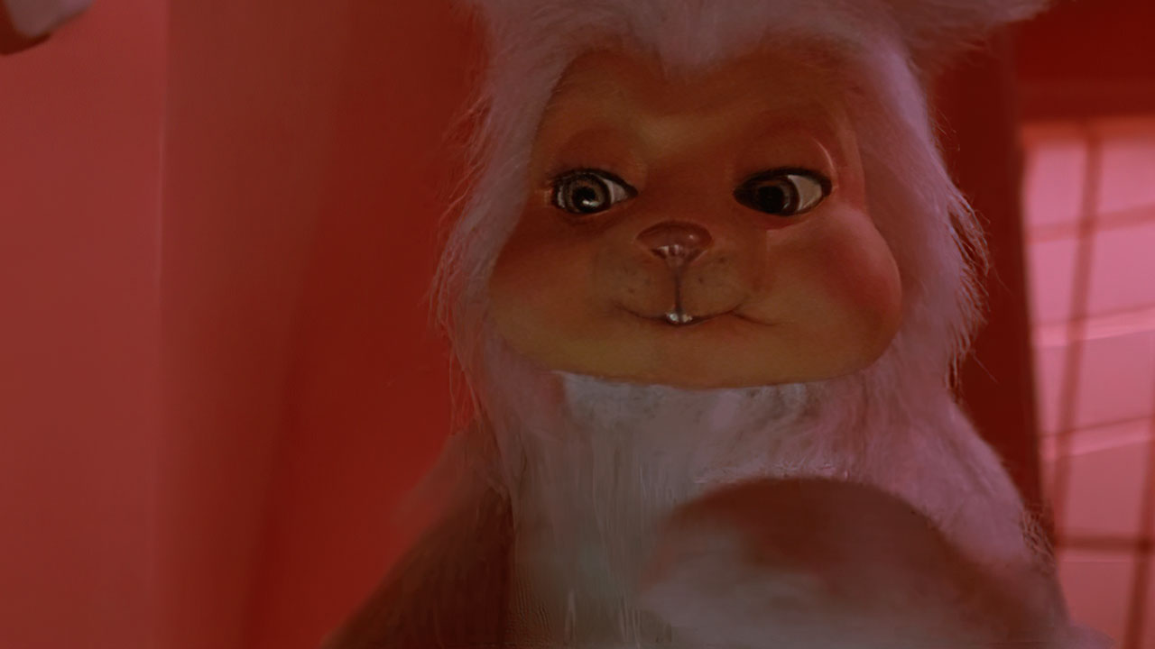 top 10 most frightening bunnies in horror movies 23041704 1