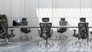 sihoo chair 6