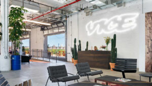 vice33