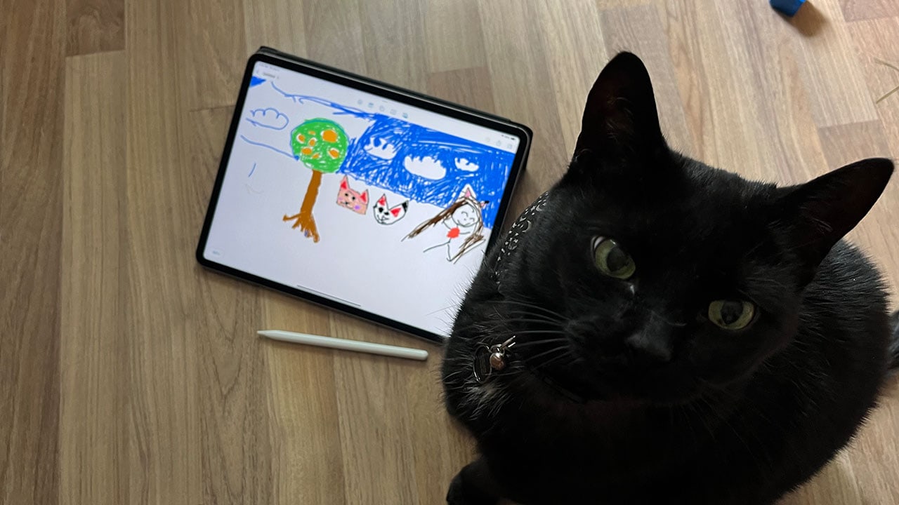 Apple Ipad Pro (6Th Gen) Review Ipad 5