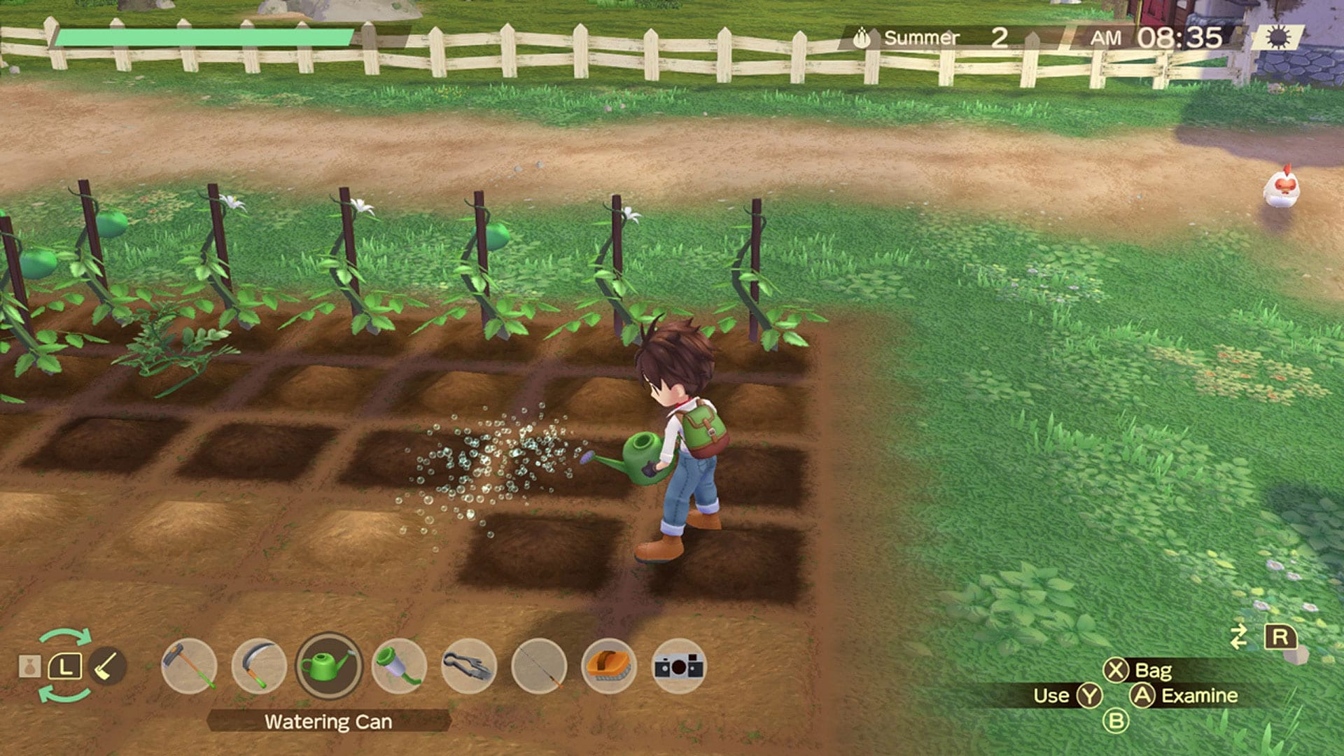 cgm story of seasons wonderful life (5)
