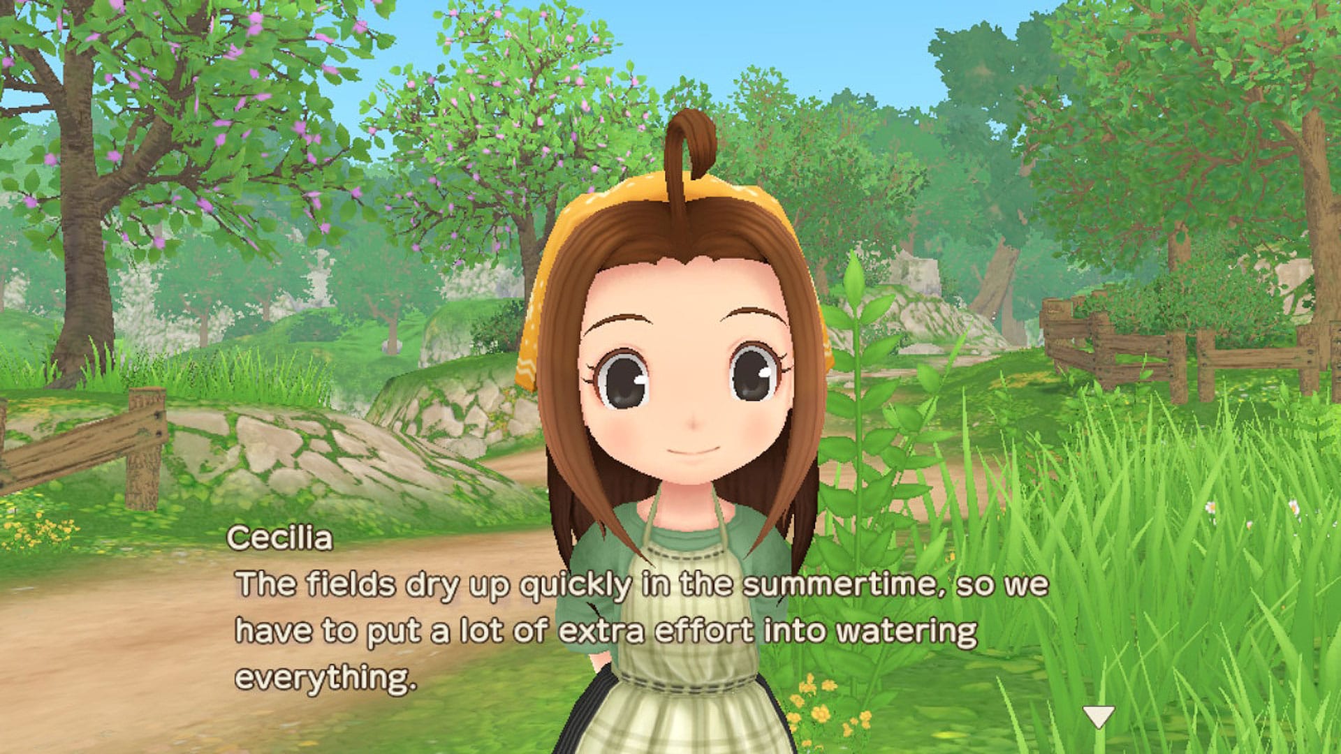 cgm story of seasons wonderful life (4)