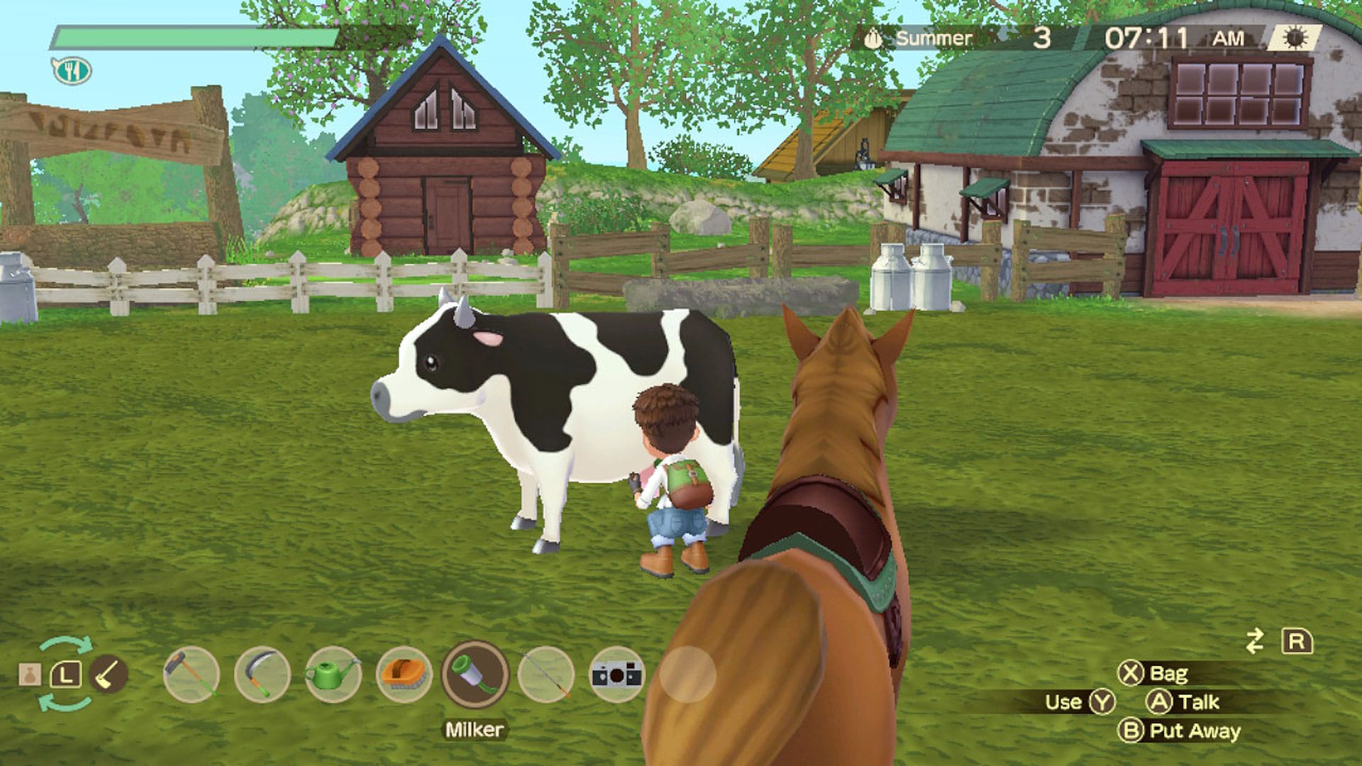 cgm story of seasons wonderful life (3)