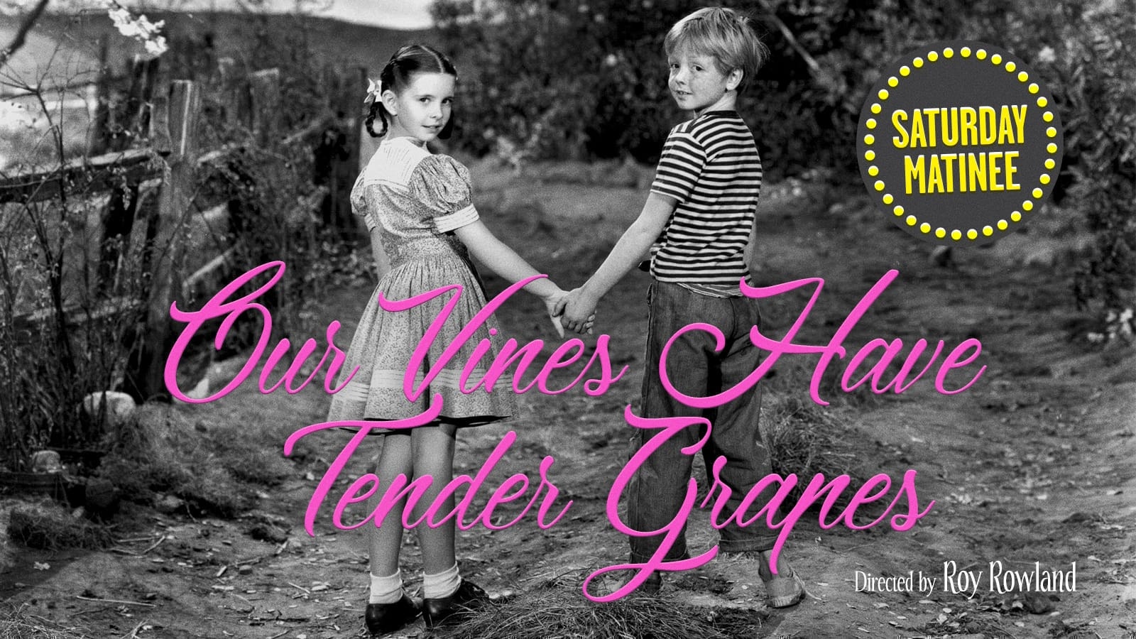 Everything Coming To The Criterion Channel In July 2021 Everything Coming To The Criterion Channel In July 2021