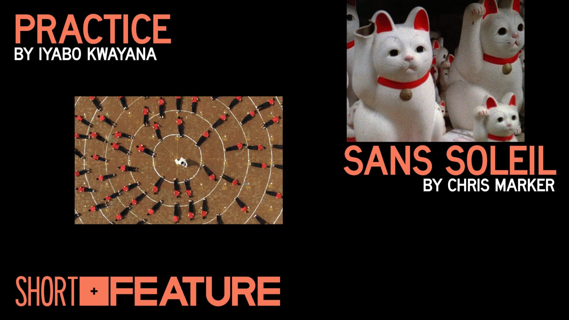 Everything Coming To The Criterion Channel In July 2021 Everything Coming To The Criterion Channel In July 2021