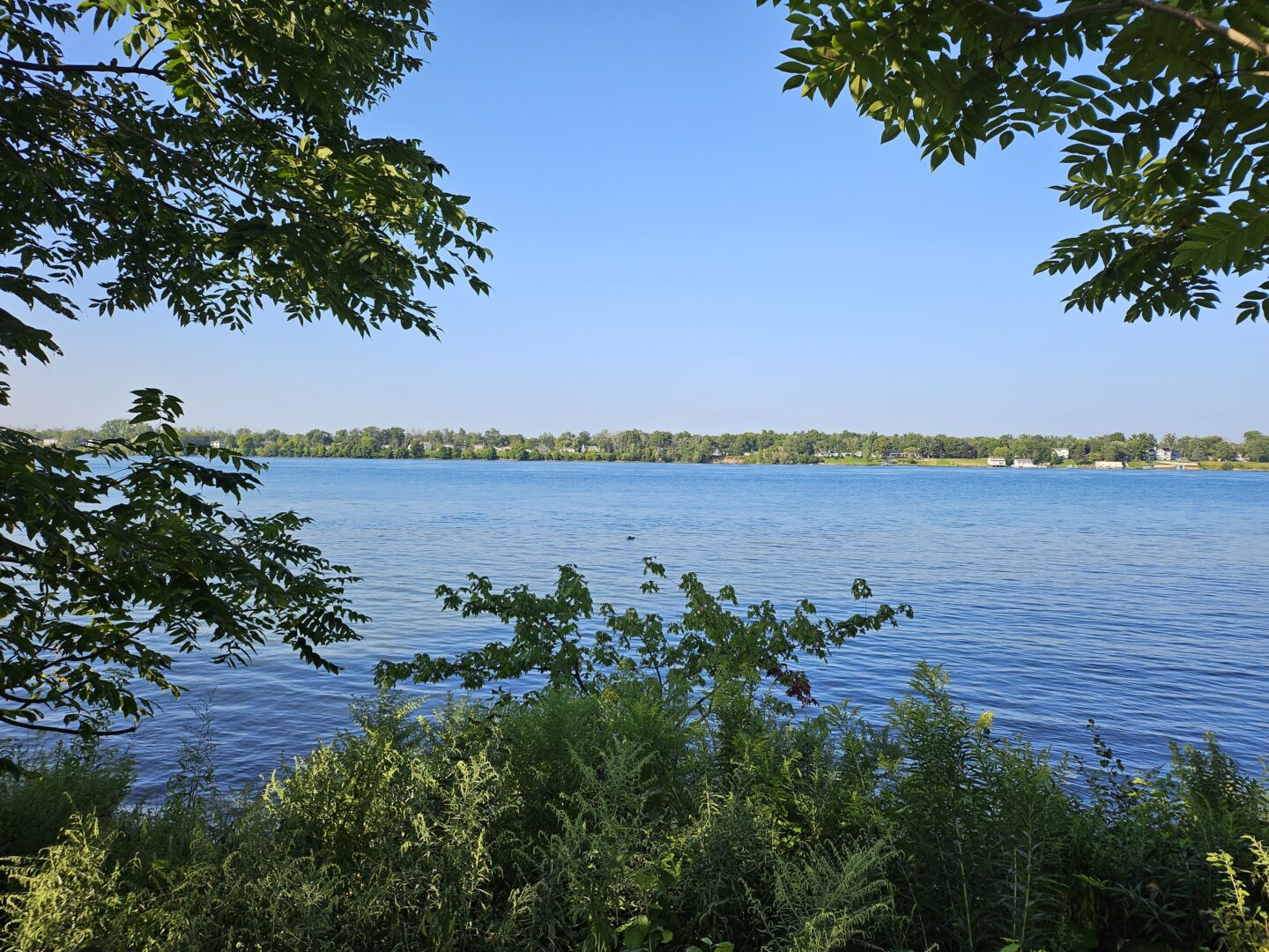 Samsung Galaxy Z Flip5