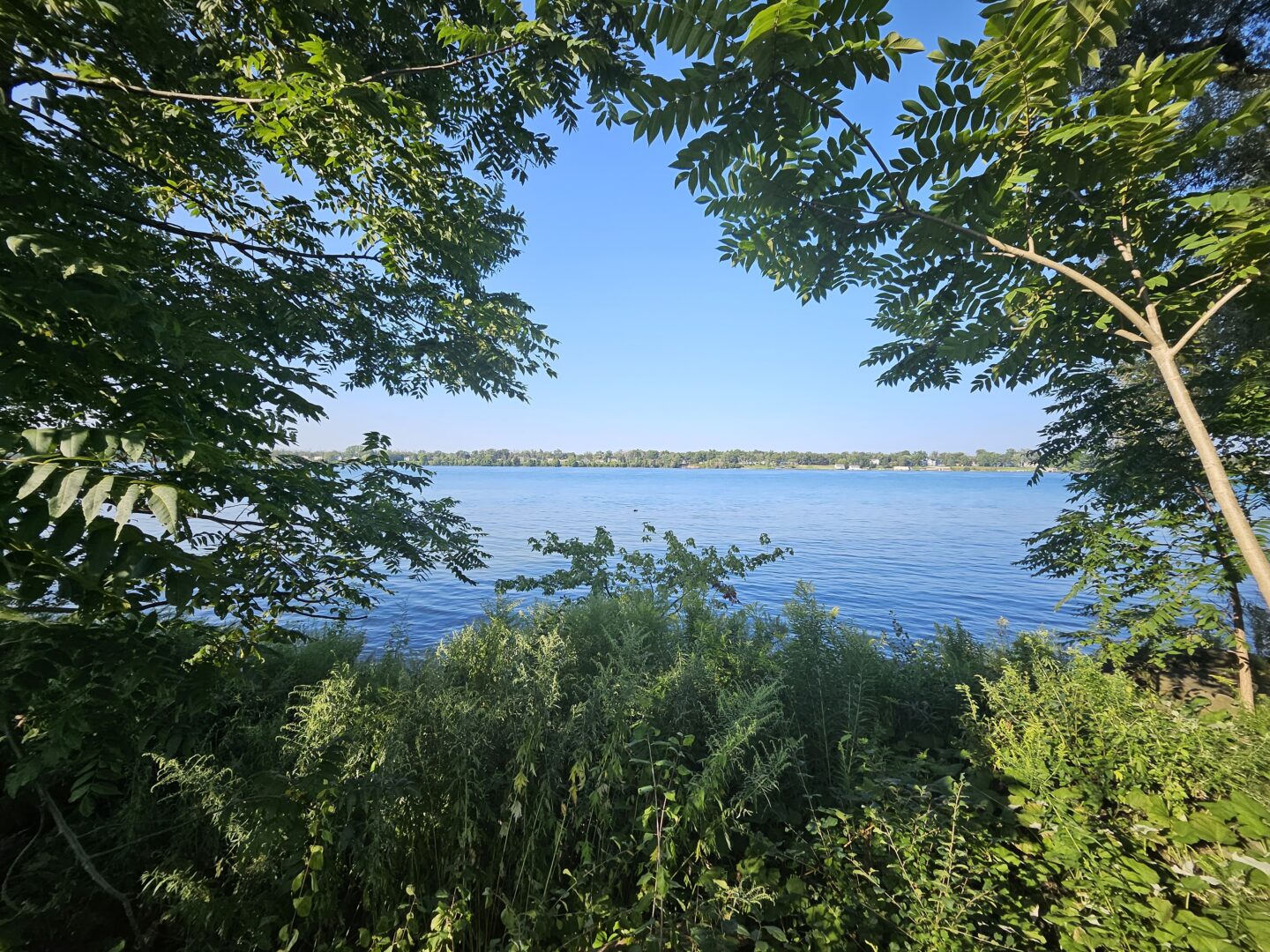 Samsung Galaxy Z Flip5