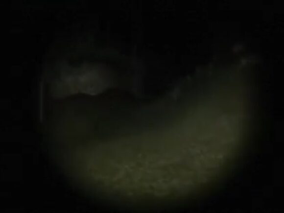 The Texas Chainsaw Massacre - The Game The Texas Chainsaw Massacre - The Game