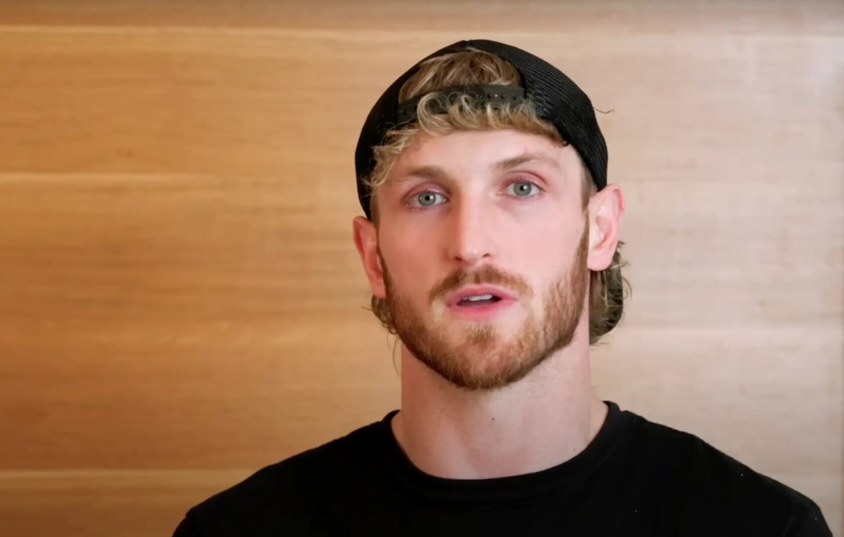 Logan Paul Has Launched CryptoZoo Refunds 1 Year After His Promise & There's a Catch