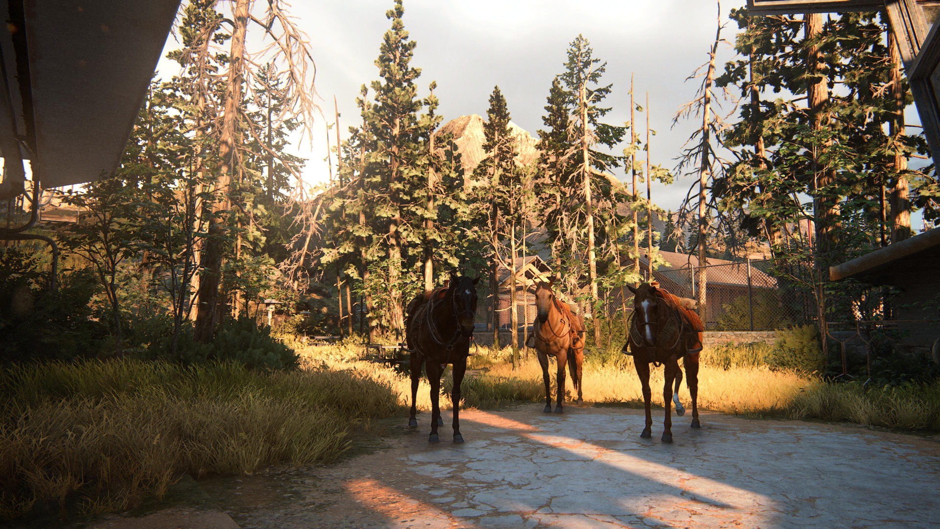 The Last of Us Part II Remastered (PS5) Review