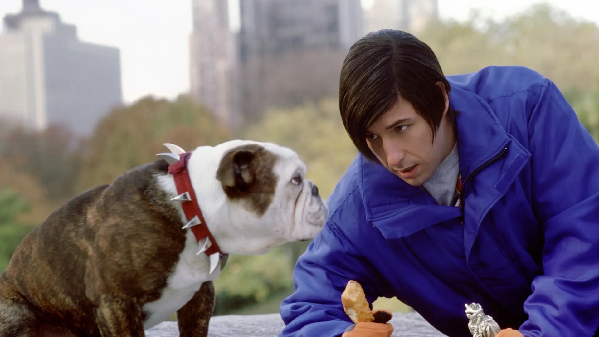 Little Nicky 2 Rumours Resurface &Amp; Sequel Remains Sadly Unconfirmed Little Nicky 2 Rumours Resurface &Amp; Sequel Remains Sadly Unconfirmed