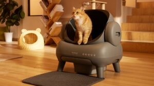 Neakasa M1 Automatic Litter Box Review