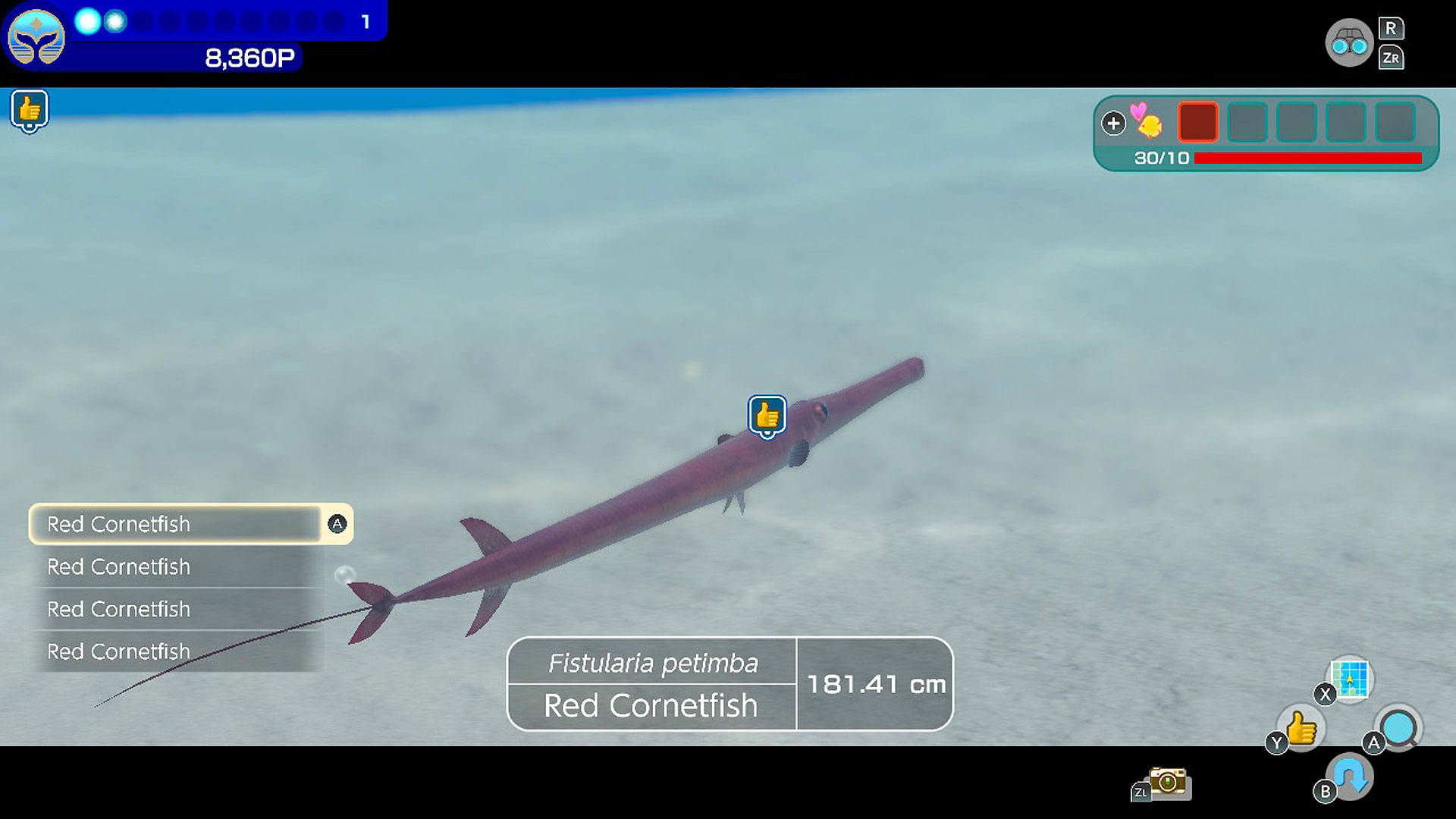 Endless Ocean Luminous (Nintendo Switch) Review