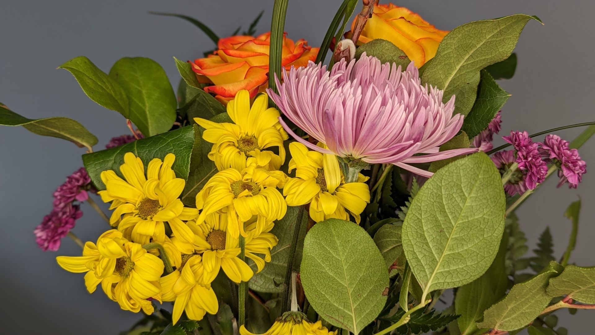 Gvm Hd 18S Ring Light Review