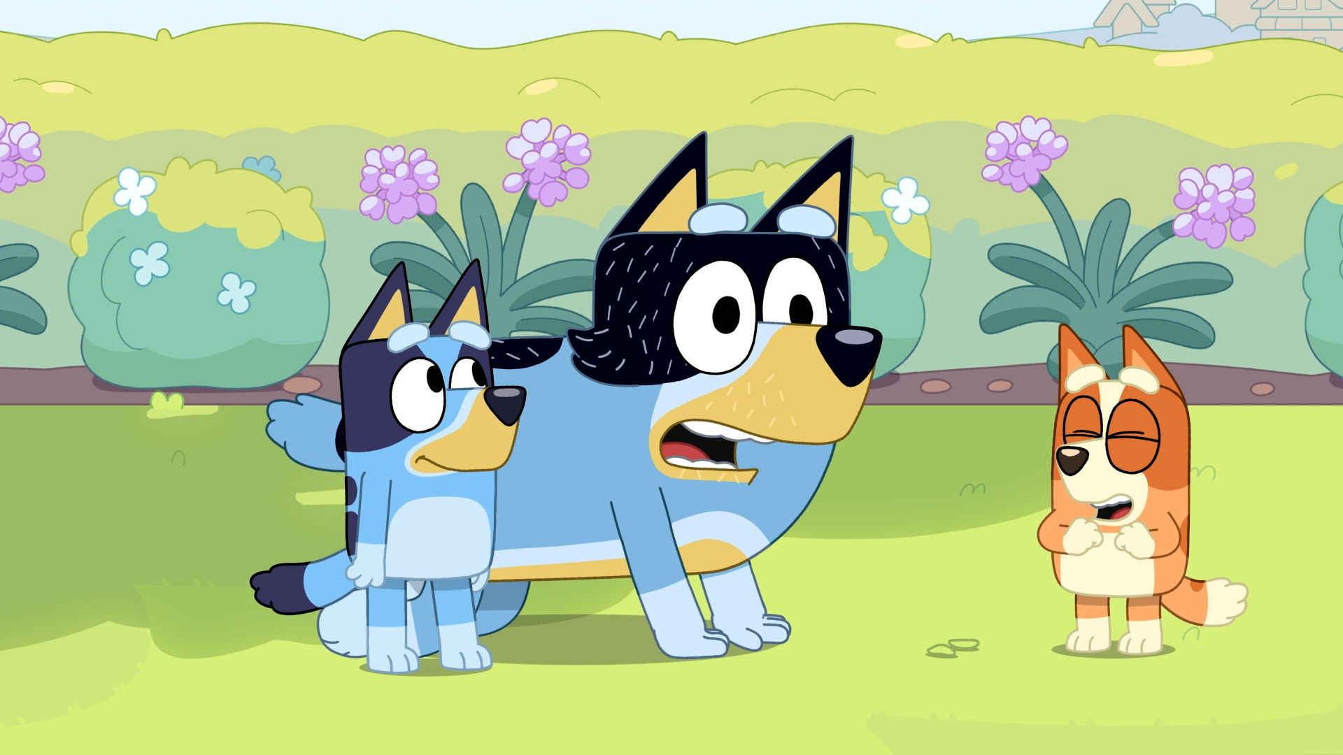 The Best Bluey Episodes (For Parents)