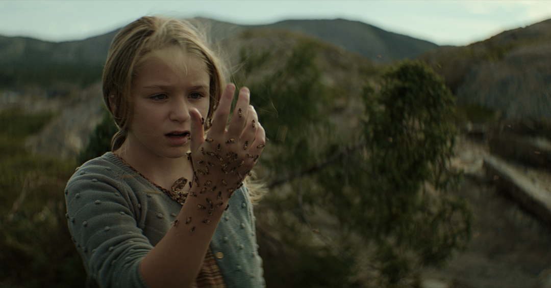 The King Tide (2023) Review The King Tide (2023) Review
