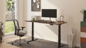 FlexiSpot E7 Pro Standing Desk Review