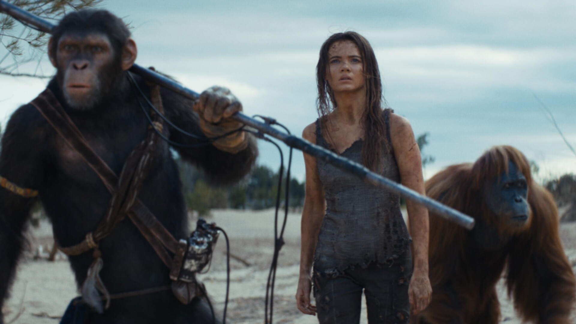 Kingdom Of The Planet Of The Apes Review