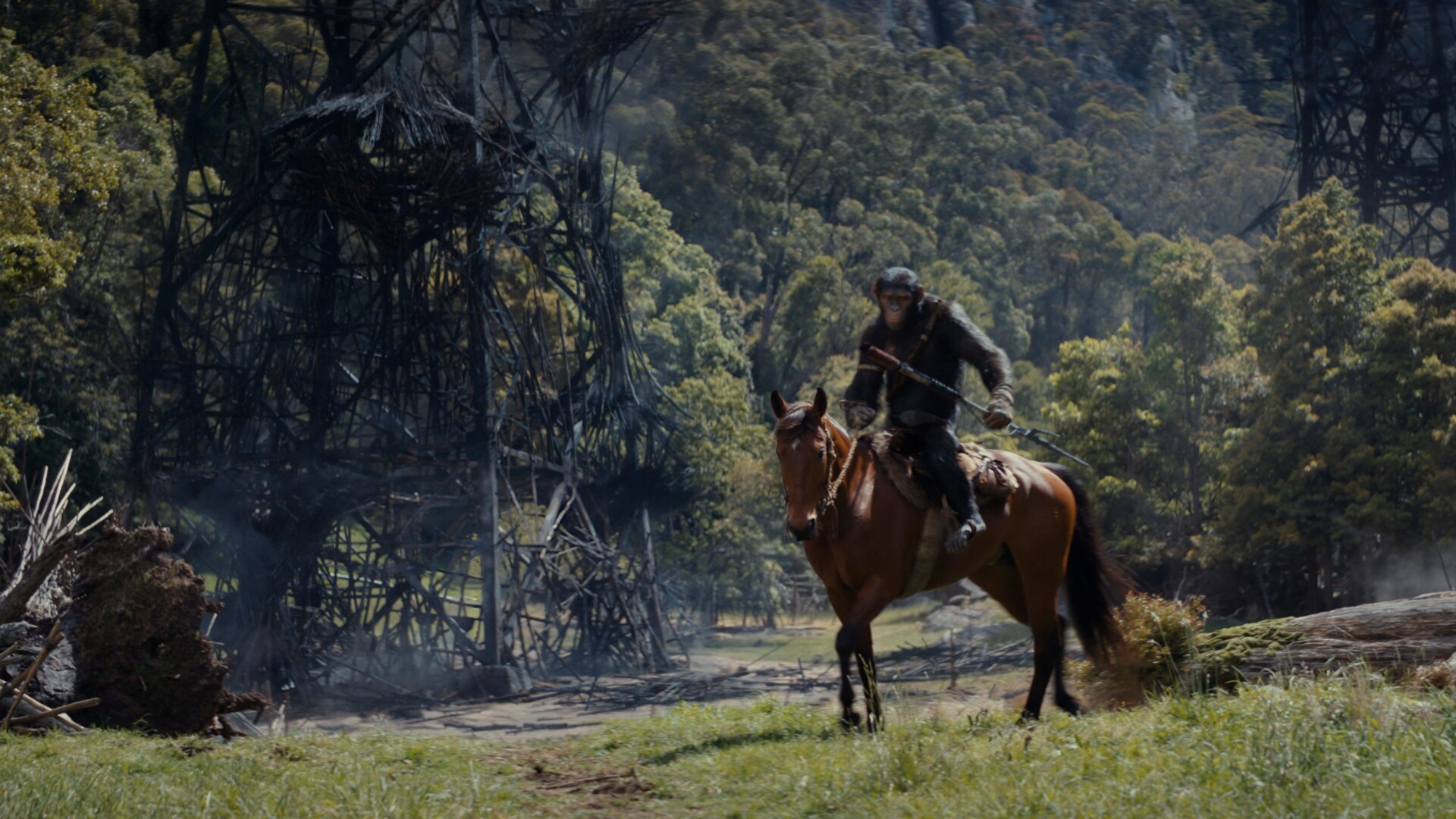 Kingdom Of The Planet Of The Apes Review