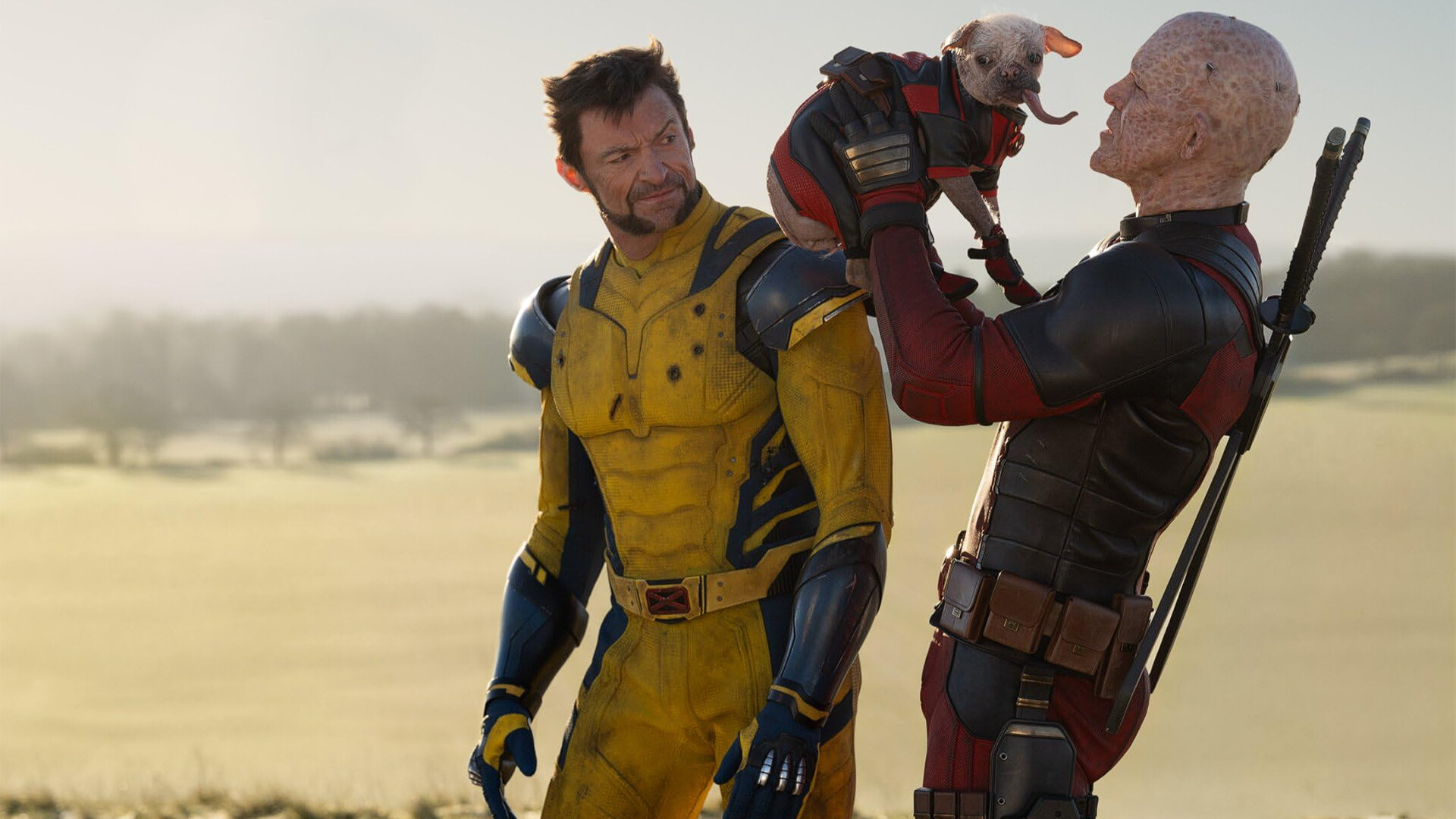 Deadpool & Wolverine Merch That Are Worth Getting!