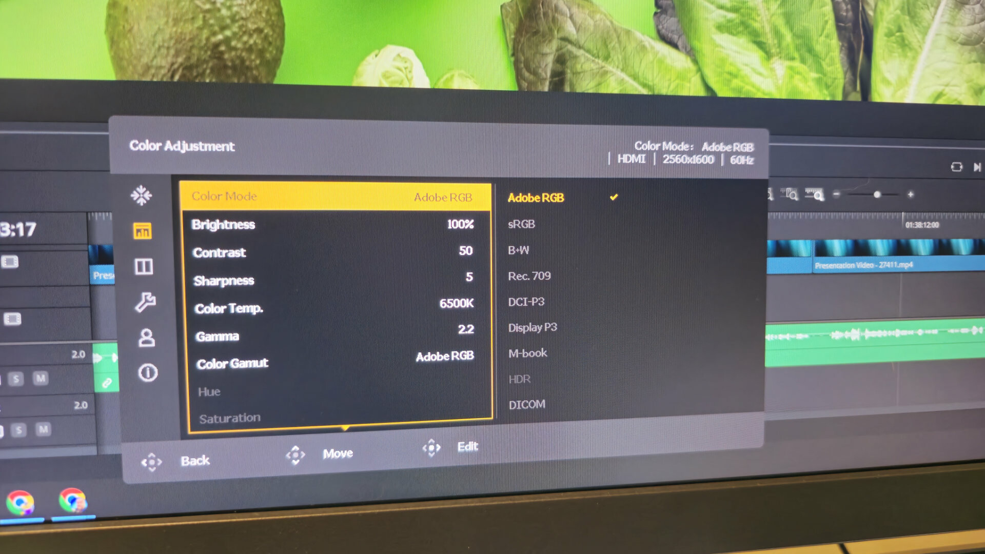 BenQ SW242Q 24" 2K Photographer Monitor Review