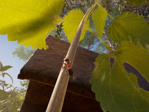 Empire of the Ants