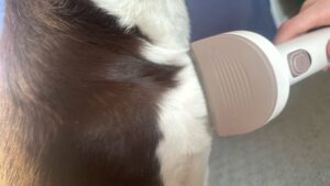 Redroad P17 Pet Groomer and Vacuum Review