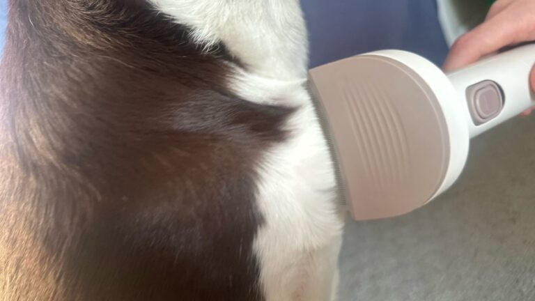 Redroad P17 Pet Groomer and Vacuum Review